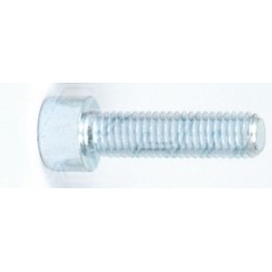 Vis CHC M8x25