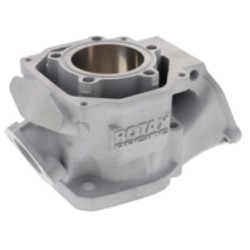 Cylindre Rotax 2024 (MAX EVO)